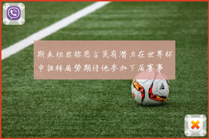 斯米切尔称恩古莫有潜力在世界杯中扭转局势期待他参加下届赛事