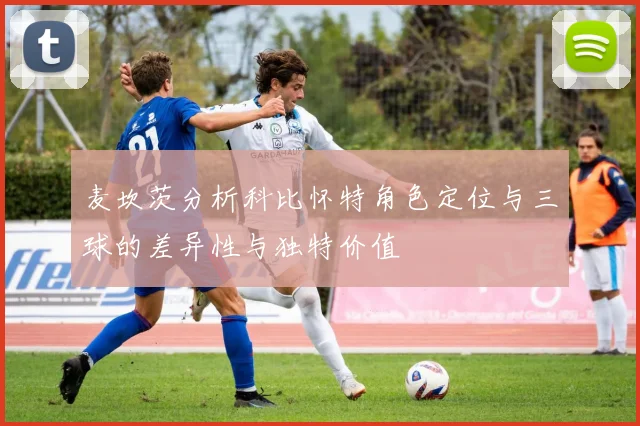 麦坎茨分析科比怀特角色定位与三球的差异性与独特价值