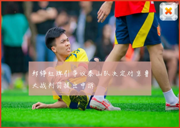 郑铮红牌引争议泰山队决定对京鲁大战判罚提出申诉